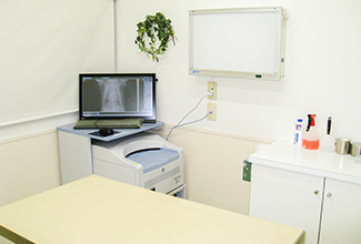 神戸市西区の動物病院・ヴェルデ動物病院　診察室